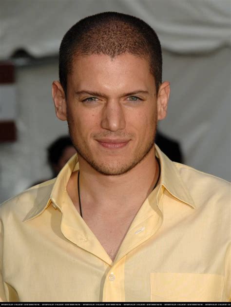 Wentworth Miller: Beziehung, Vermögen, Größe,。